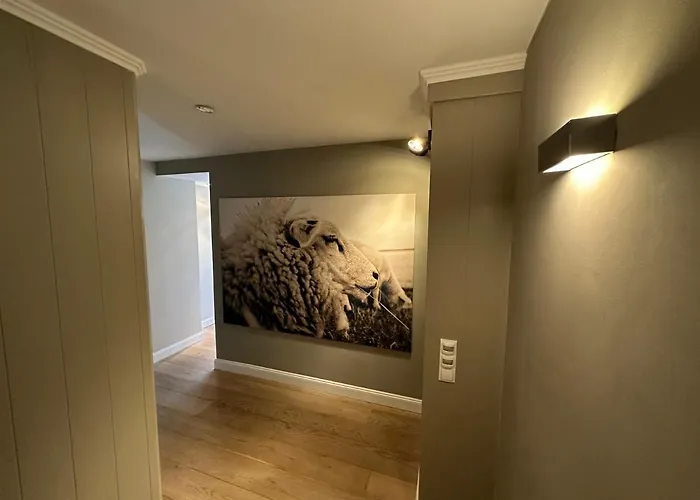 Hues Am Seedeich Lejlighed Vesterland